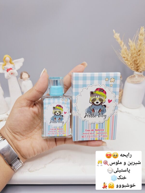 عطر شاد و جذاب روباه برند LADY LADY IDEA کد LD9105 -