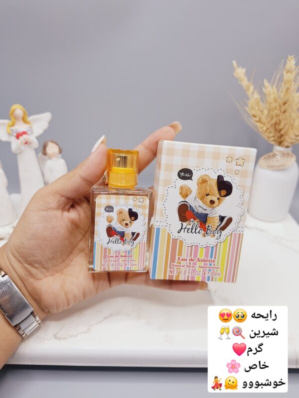 عطر شاد و جذاب تک شاخ برند LADY IDEA کد LD9107 -